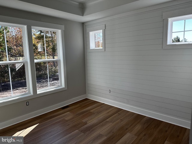 spare room featuring a healthy amount of sunlight, wood walls, and dark hardwood / wood-style floors