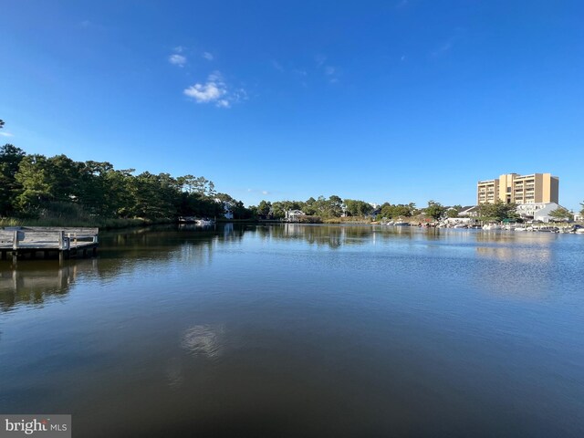 view of water view