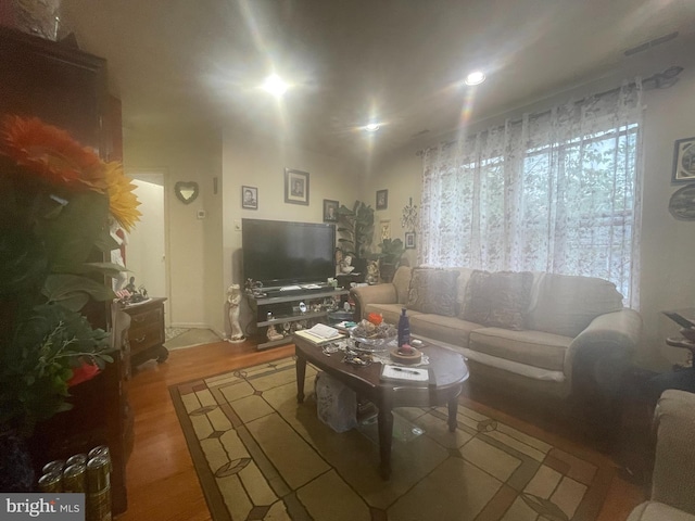 living room featuring light hardwood / wood-style floors