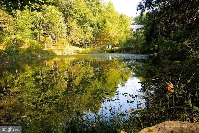 view of water feature