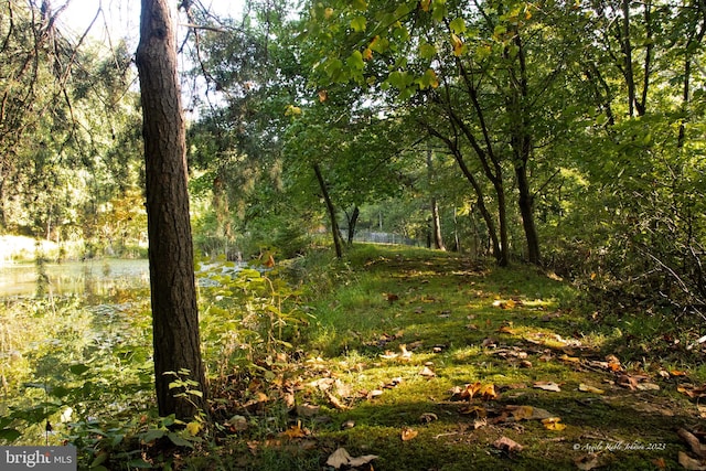 view of local wilderness featuring a water view