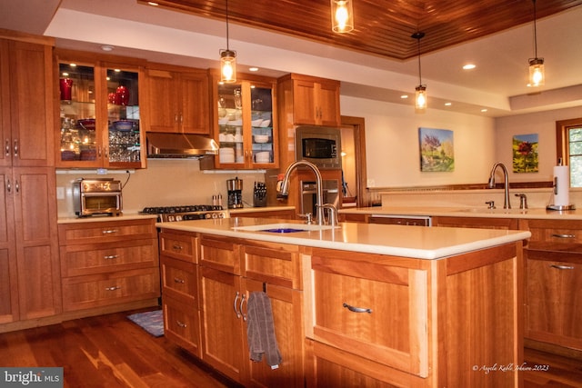 kitchen with appliances with stainless steel finishes, hanging light fixtures, an island with sink, sink, and wall chimney exhaust hood