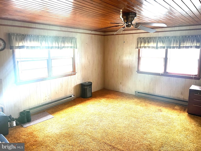 unfurnished room featuring a baseboard heating unit, wood walls, and a wealth of natural light