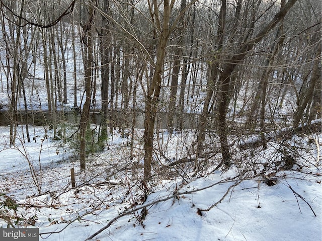 Listing photo 2 for LOT384-PINEHURST Hemlock Point Rd, New Market MD 21774