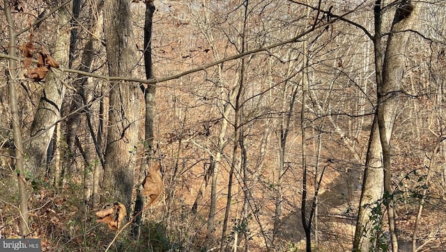 Listing photo 3 for LOT384-PINEHURST Hemlock Point Rd, New Market MD 21774