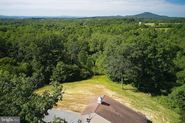 view of bird's eye view