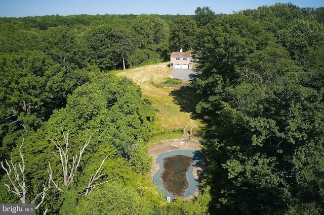 view of bird's eye view