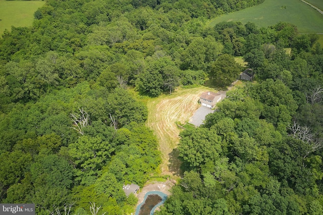 view of bird's eye view