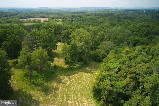 view of bird's eye view