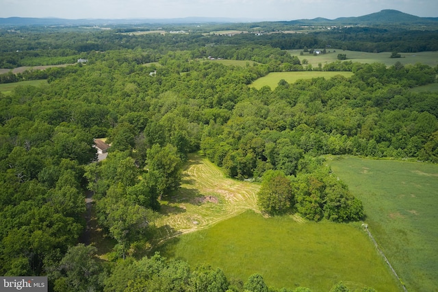 view of bird's eye view