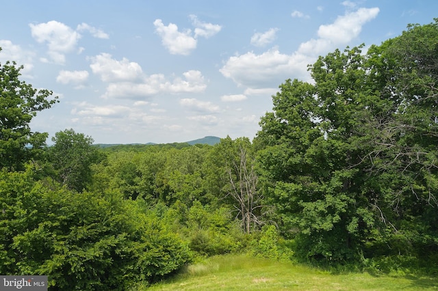 view of mother earth's splendor