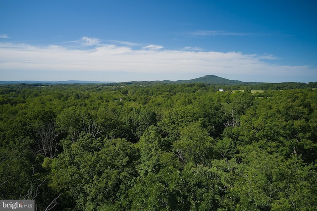 view of mountain view