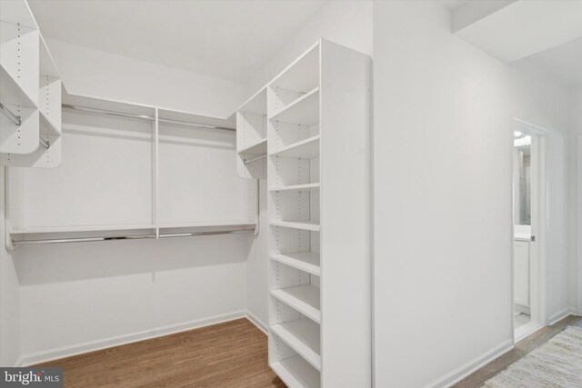 walk in closet with wood-type flooring