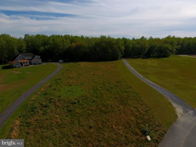 10168 Rabbit Ridge Ln, Bishopville MD, 21813 land for sale