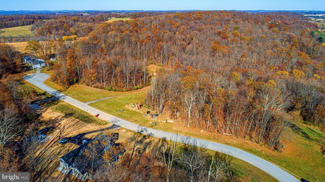 bird's eye view with a view of trees