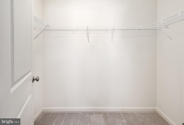 spacious closet with light colored carpet