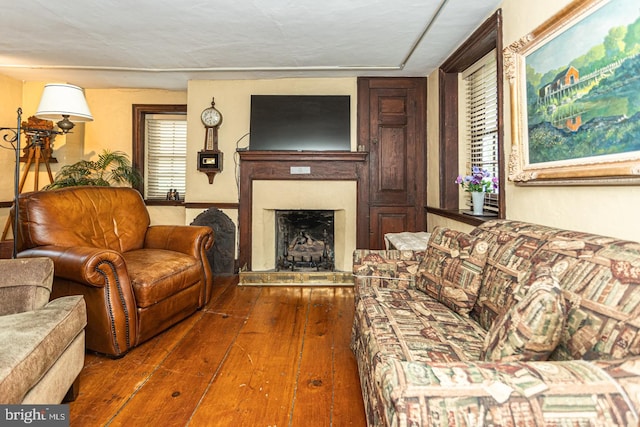 living room featuring dark wood-type flooring