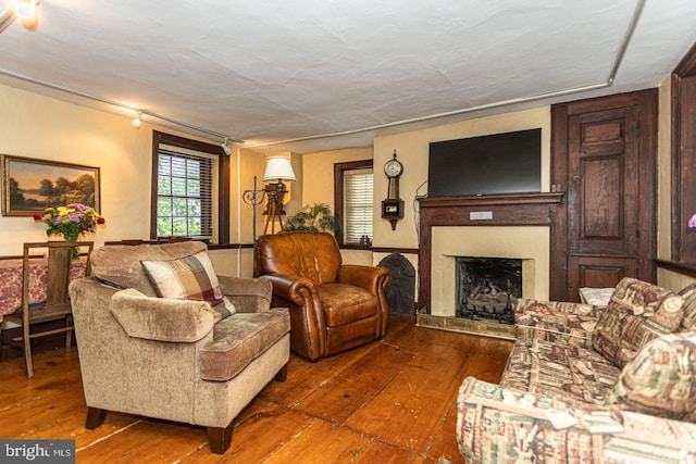 living room featuring dark hardwood / wood-style floors