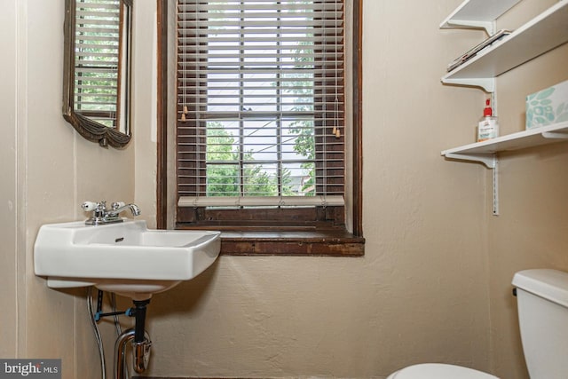 bathroom featuring toilet