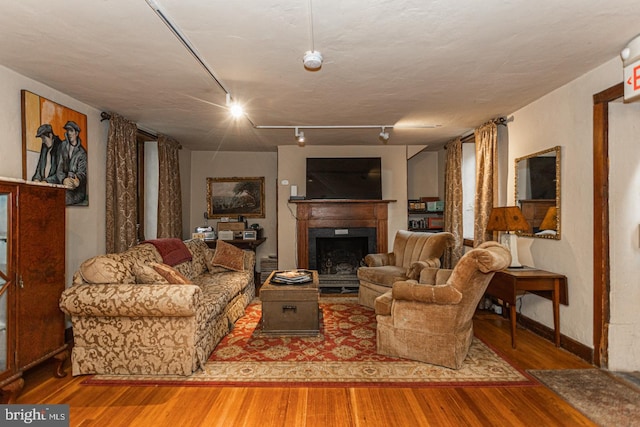 living room with rail lighting and hardwood / wood-style flooring