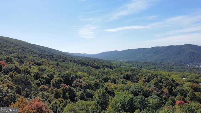 Black Bear Ln, Mathias WV, 26812 land for sale