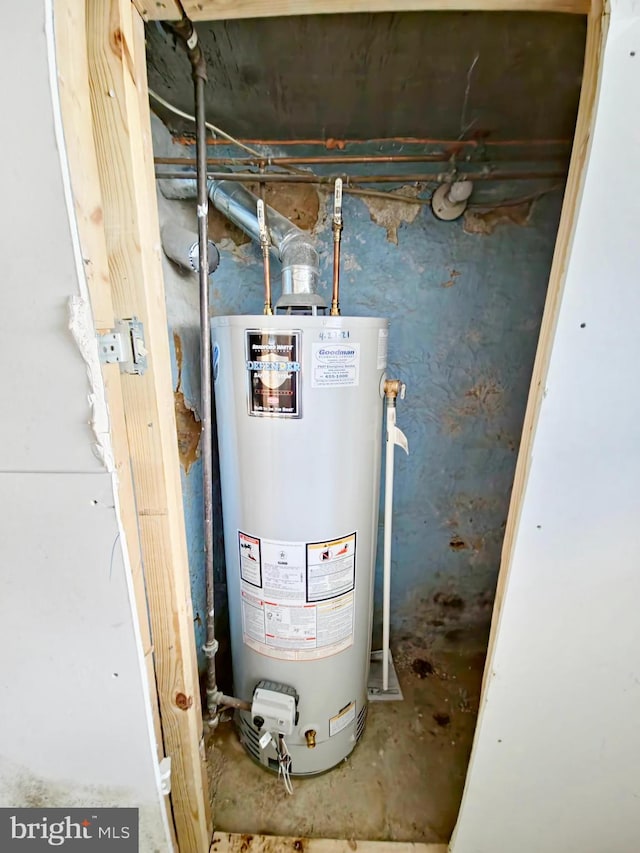 utility room with gas water heater