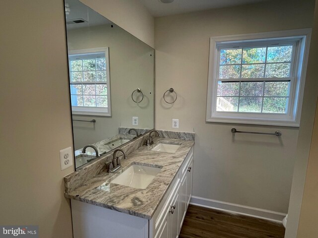 bathroom featuring vanity, wood-type flooring, and a healthy amount of sunlight