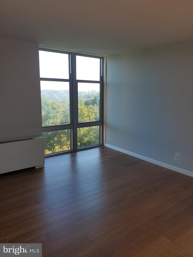 spare room with dark hardwood / wood-style floors