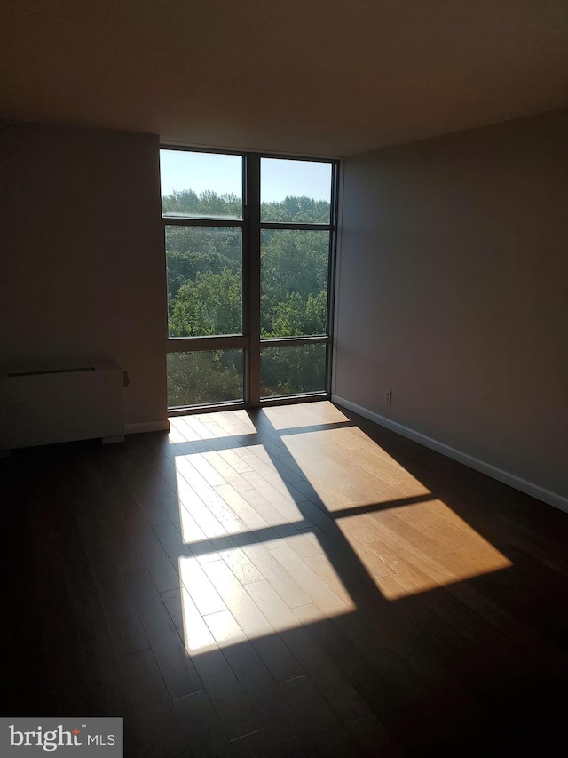 spare room featuring expansive windows and dark wood-type flooring