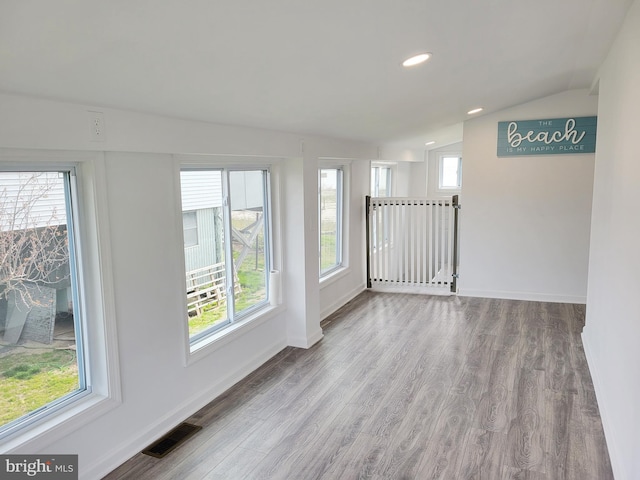 empty room featuring lofted ceiling, wood-type flooring, and a wealth of natural light