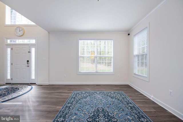 foyer entrance with crown molding, a healthy amount of sunlight, and dark hardwood / wood-style flooring