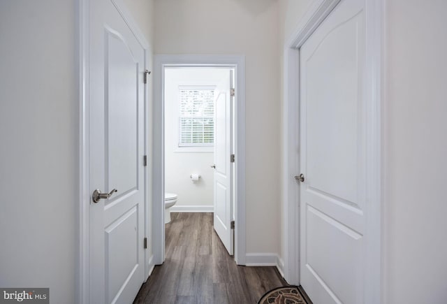 hall featuring dark hardwood / wood-style floors