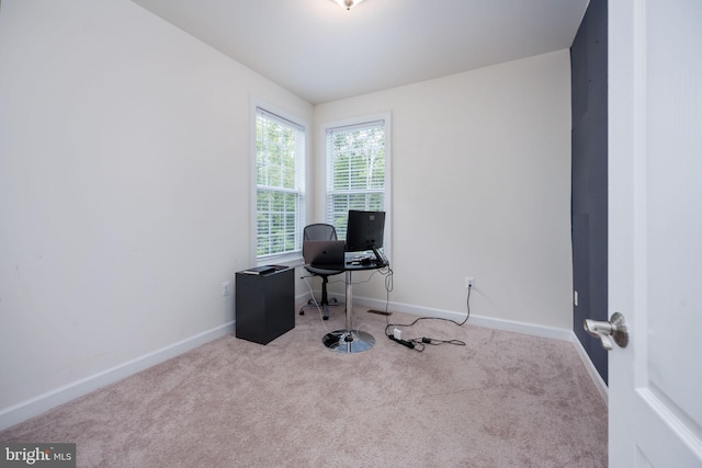 office featuring light colored carpet