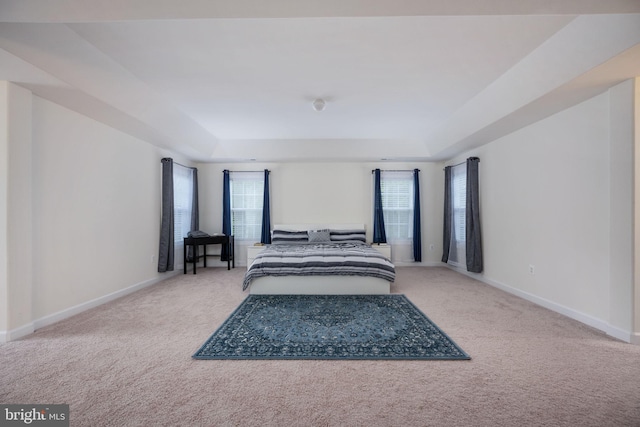 bedroom with carpet and a tray ceiling