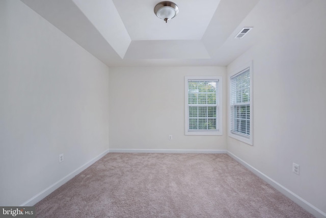 unfurnished room featuring a raised ceiling and light colored carpet