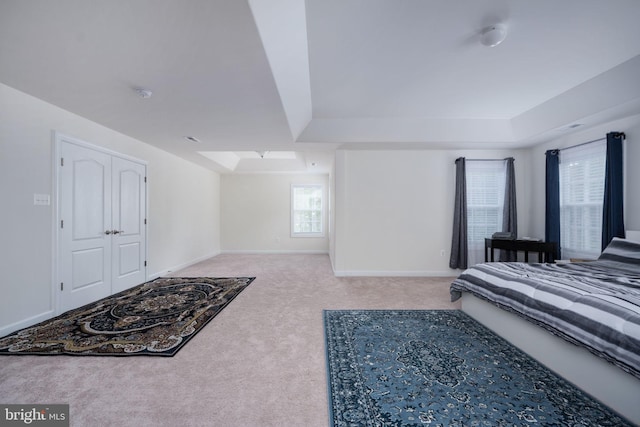 carpeted bedroom featuring a closet, a skylight, and a tray ceiling