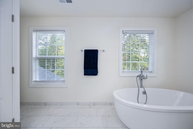 bathroom featuring a washtub and a wealth of natural light