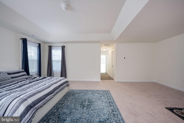 carpeted bedroom featuring a tray ceiling