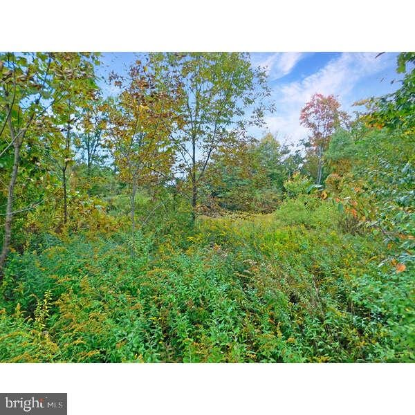 E Lincoln Drive, Tamaqua PA, 18252 land for sale