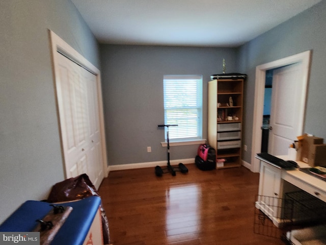 misc room featuring dark hardwood / wood-style flooring