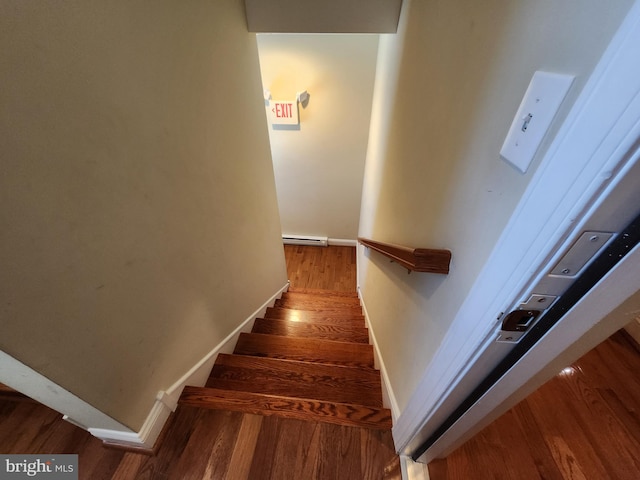 stairs with dark hardwood / wood-style flooring