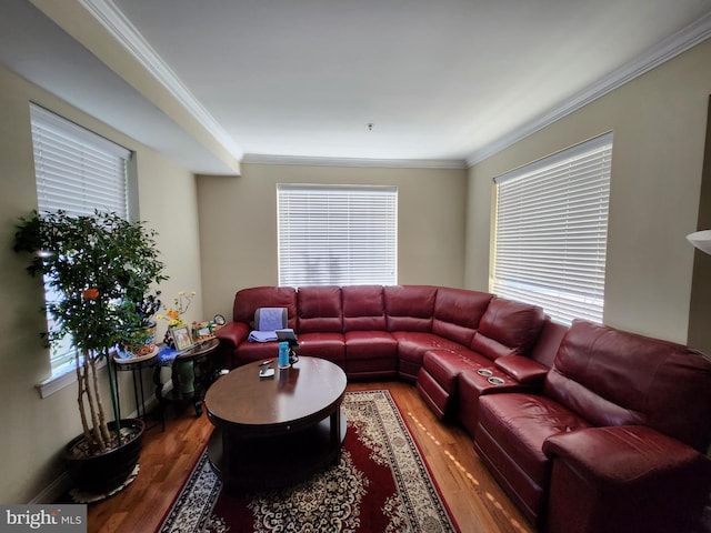 living room featuring crown molding and hardwood / wood-style floors