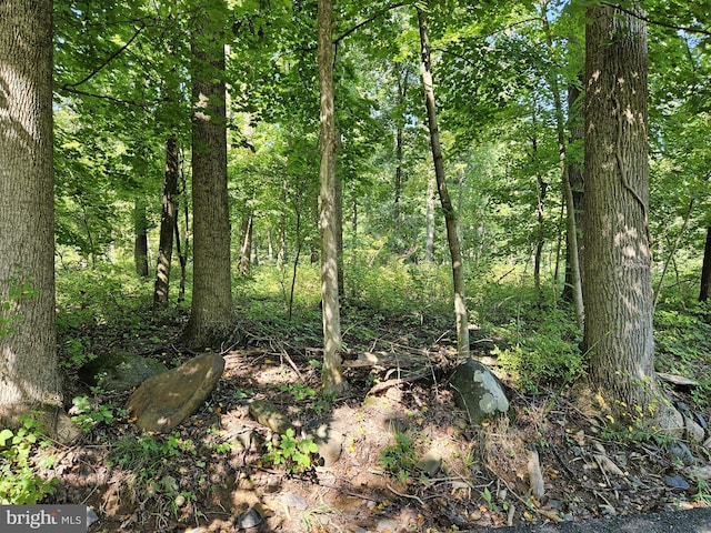 Listing photo 3 for 0 State Rd, Coopersburg PA 18036