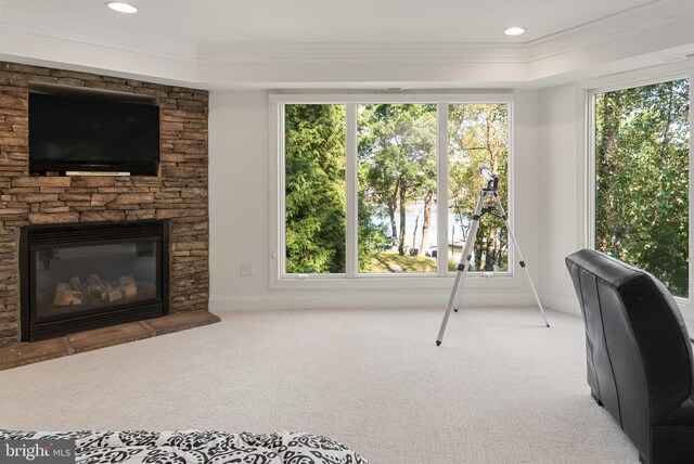 164 W Lake Dr, Annapolis, MD 21403 - interior space with crown molding, light carpet, and a fireplace