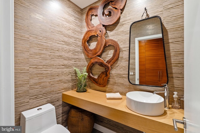 bathroom featuring toilet and vanity with extensive cabinet space