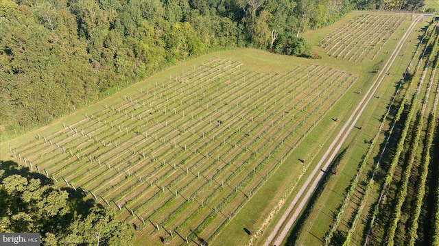 bird's eye view featuring a rural view