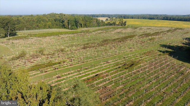 bird's eye view featuring a rural view