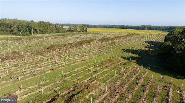 aerial view featuring a rural view