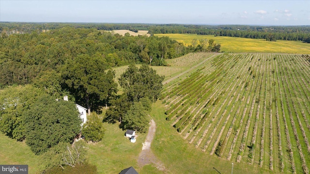 drone / aerial view featuring a rural view