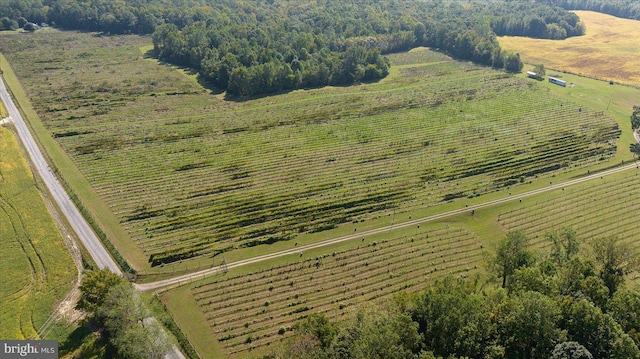 drone / aerial view featuring a rural view